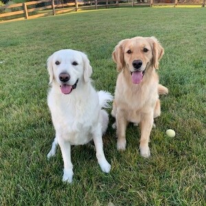 Fundraising Page: Julie George